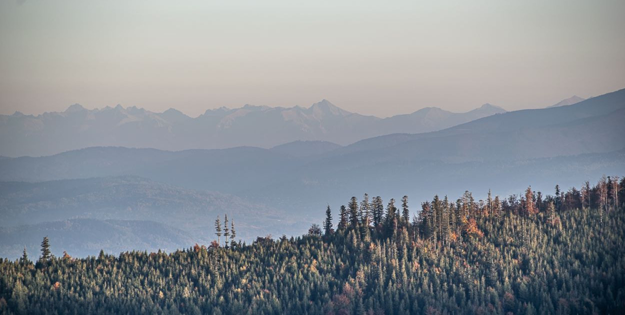 Widok z Szyndzielni
