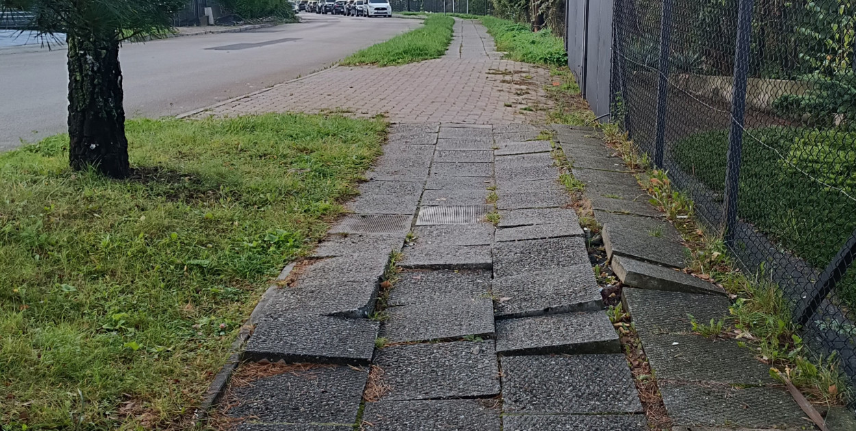 fot. nadesłane