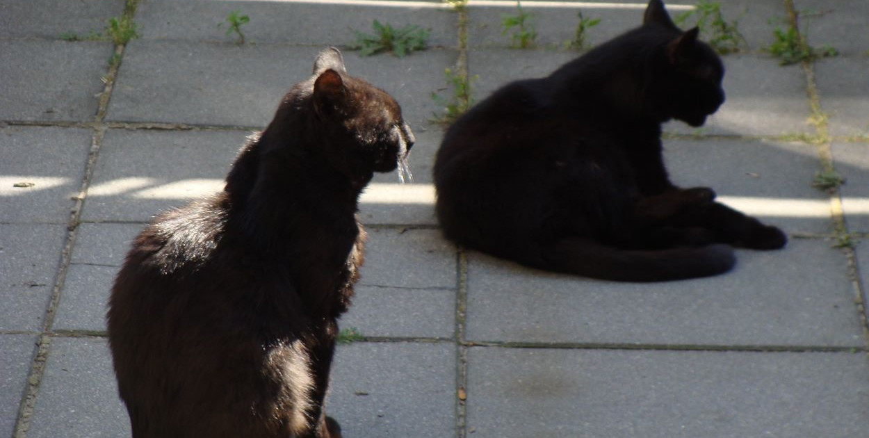Zdjęcie redakcyjne - Filip na pierwszym planie