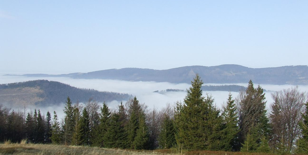 fot. Nadleśnictwo Bielsko
