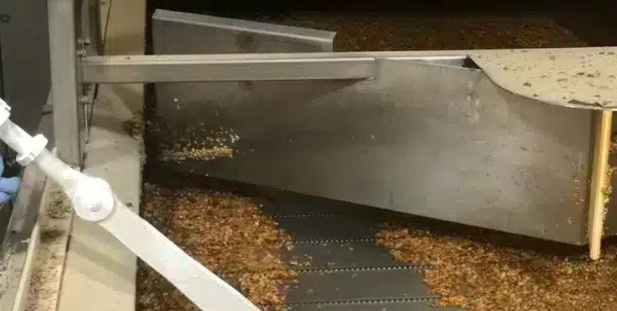 Przemysł przyszłości bez chemii i odpadów — siła technologii suchego lodu