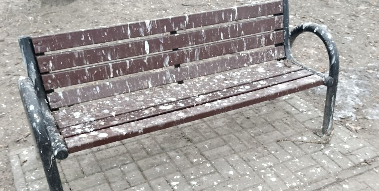 Komorowice Krakowskie: odchody kawek na placu zabaw