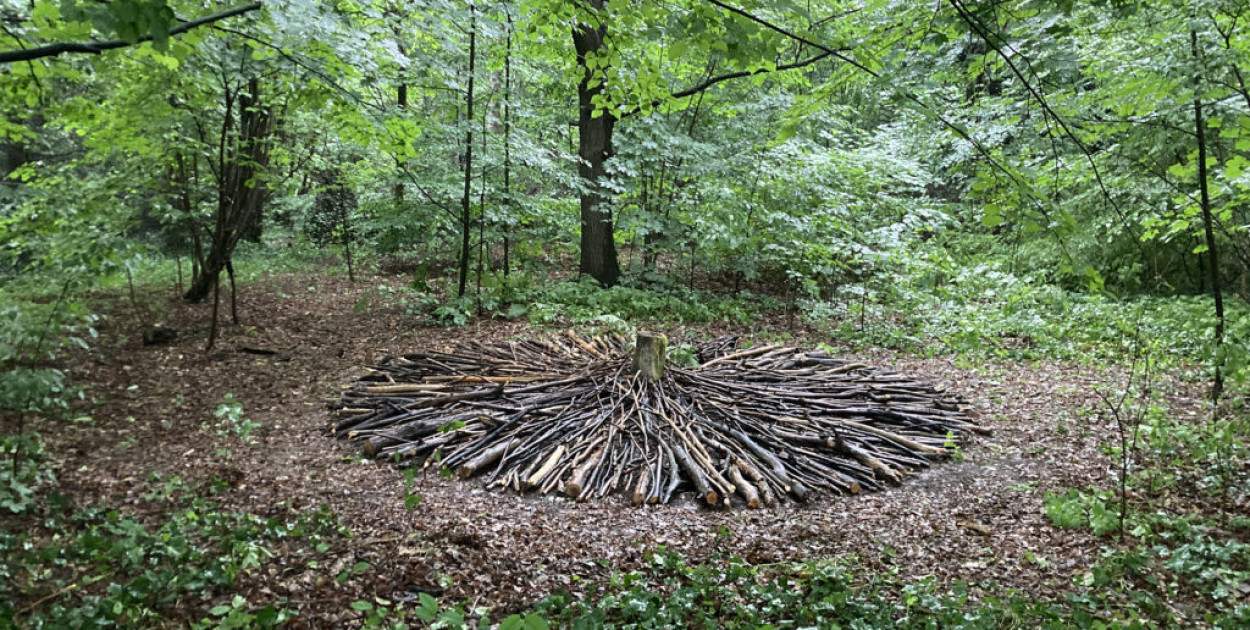 PSK2026: 12. Festiwal Ekodzieło – ekologia w praktyce i sztuka w terenie