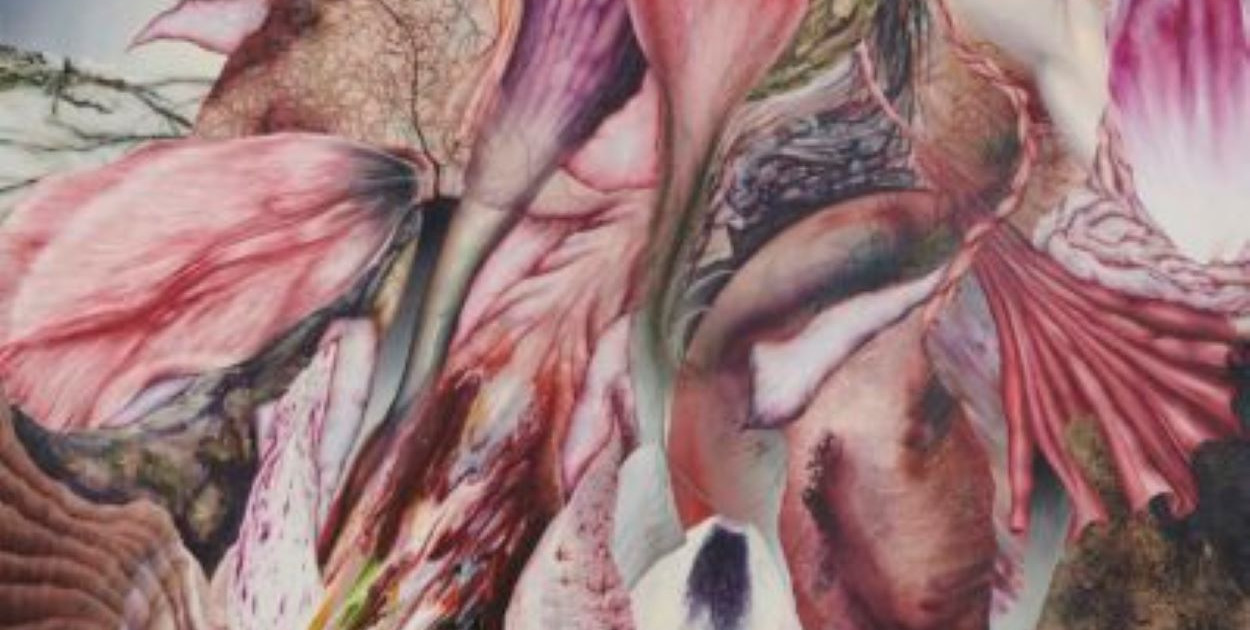 PSK2026: UKORZENIENIE w Willi Sixta