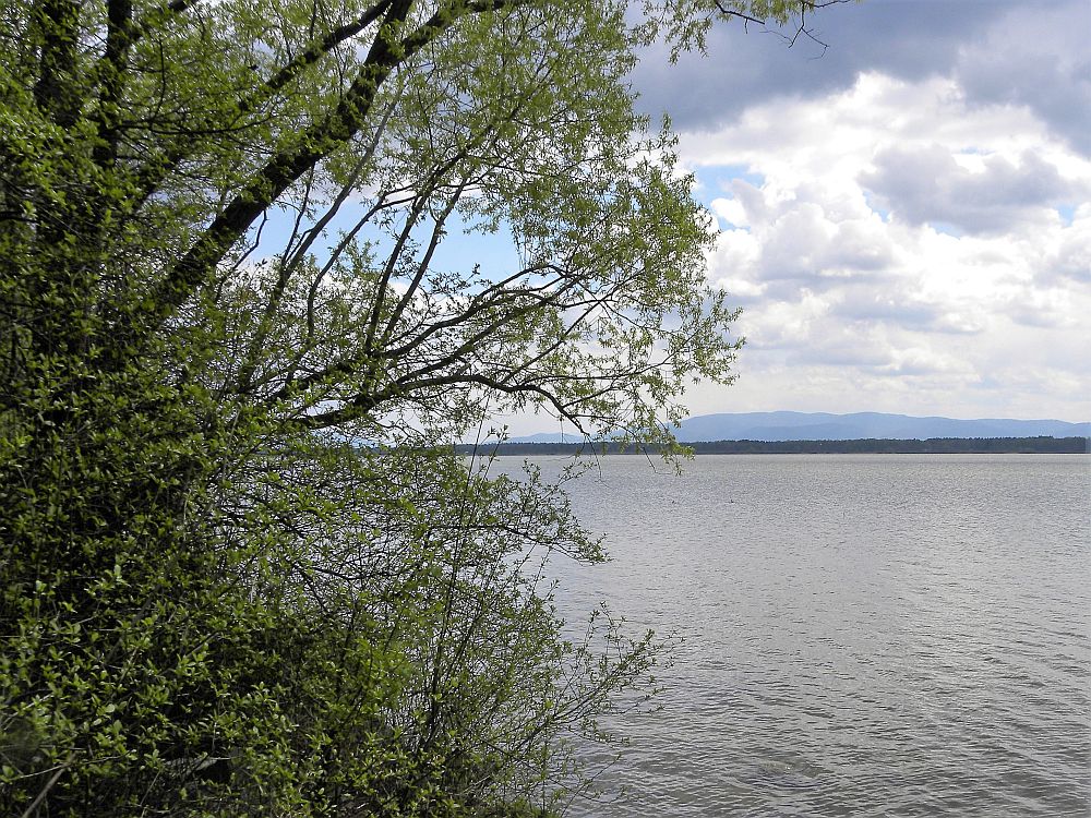 Jezioro Goczałkowickie 