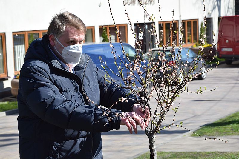 Prezydent Jarosław Klimaszewski podczas sadzenia drzewka Bohdana w parku Słowackiego