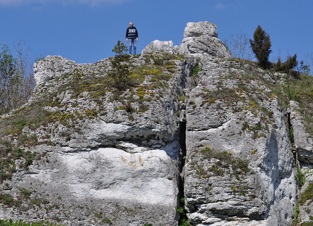 Wszędobylski reporter na szczycie (511 m n.p.m.)
