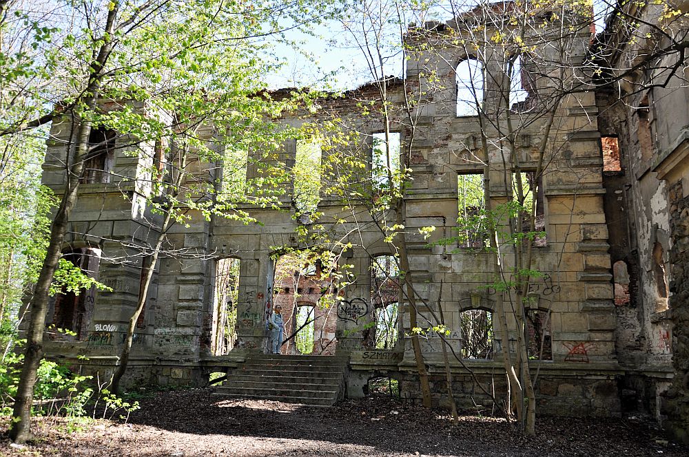 Ruiny pałacu we wsi Wierbka