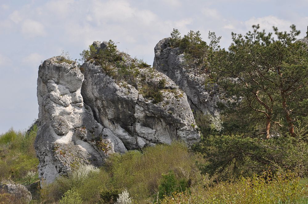 Skałki jurajskie