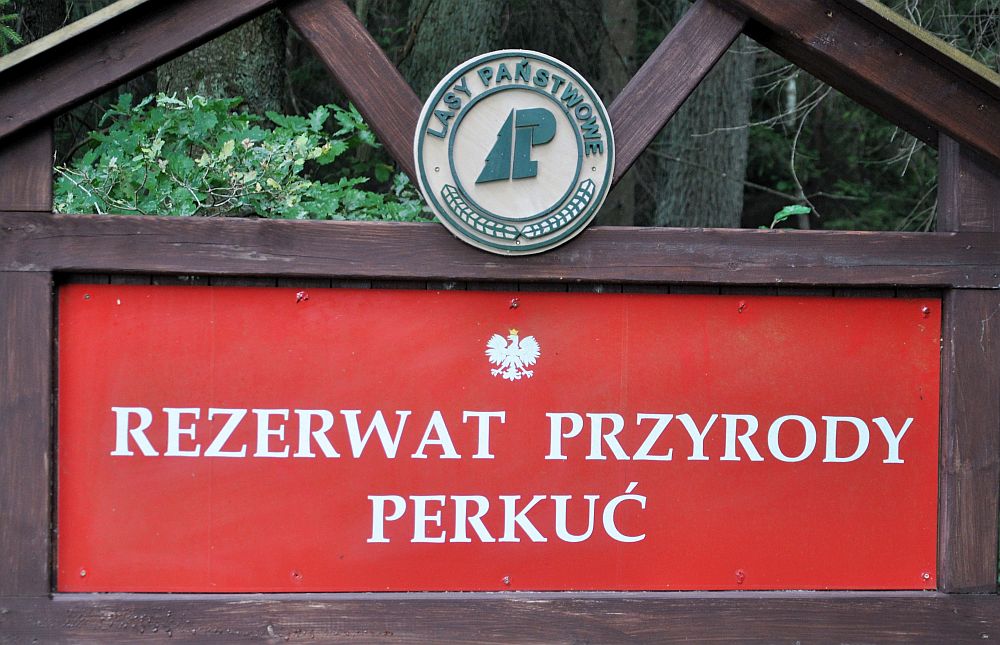 Rezerwat przyrody Perkuć
