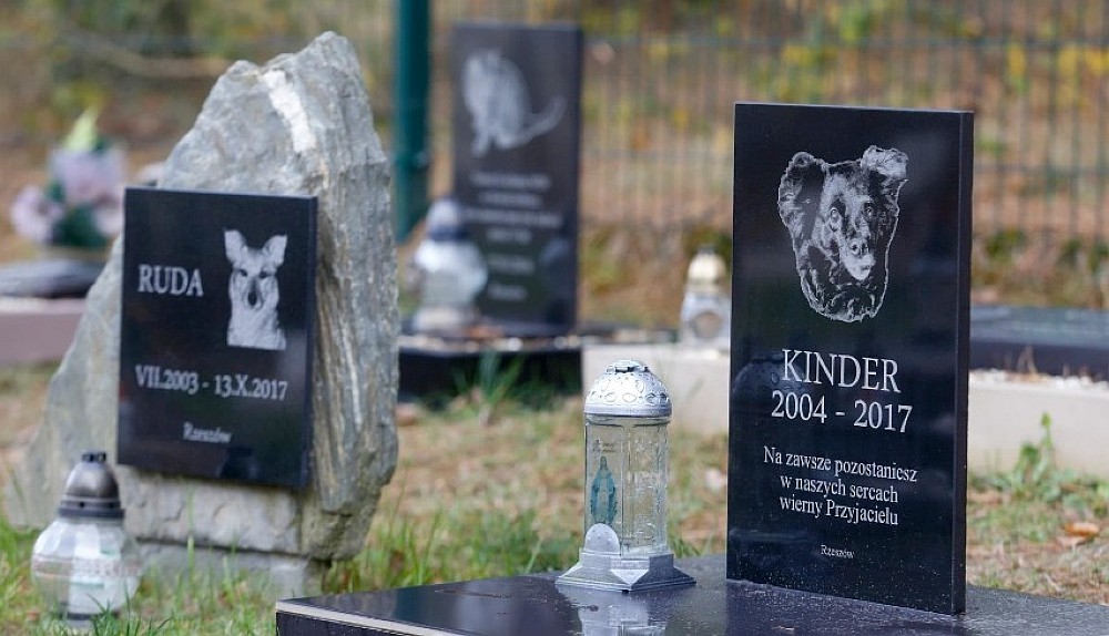 Cmentarz dla zwierząt / fot krzysztof kapica