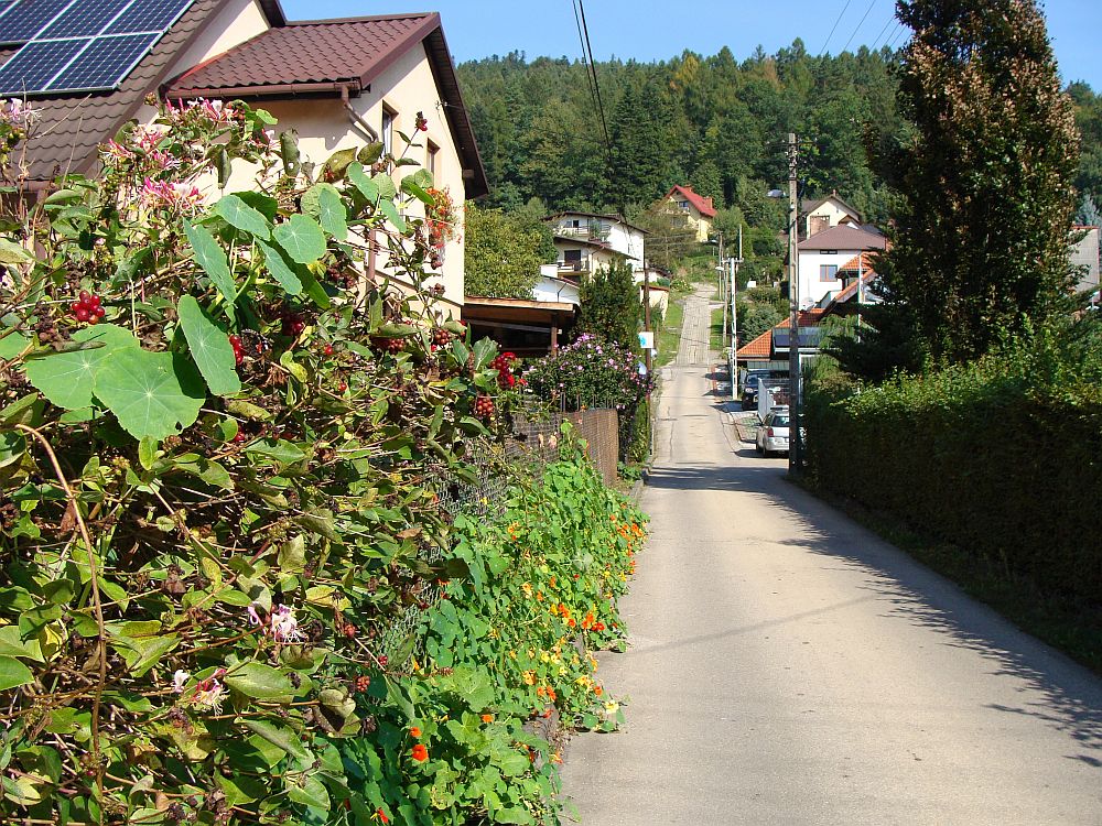 Bystra Śląska - ulica Piękna