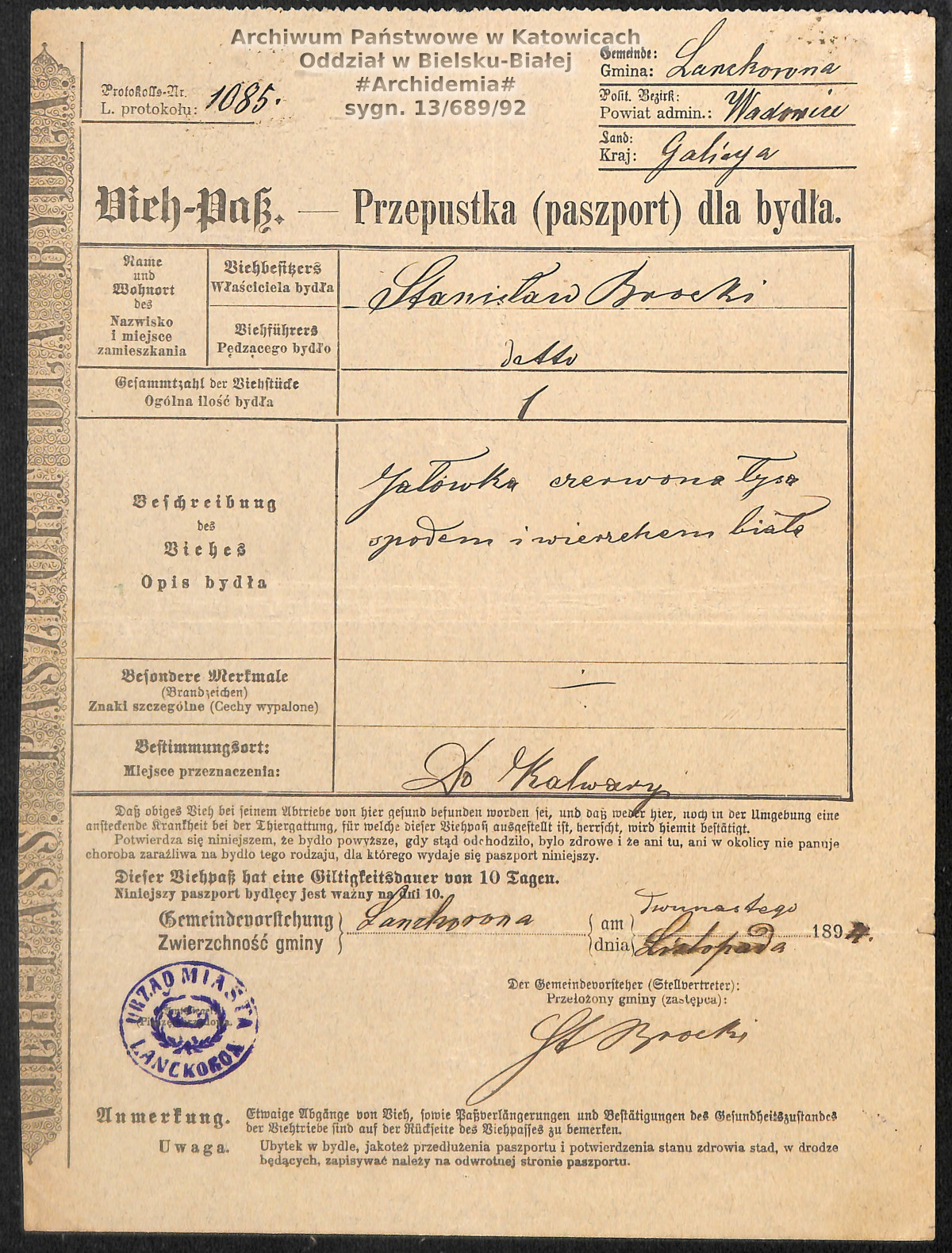 Paszport dla bydła - źródło; Archwium Państwowe