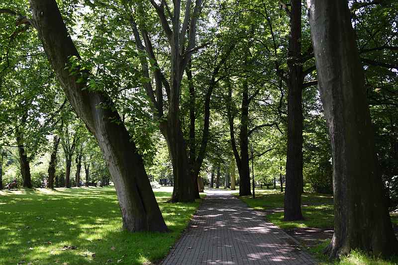 Park Mickiewicza w Bielsku-Białej
