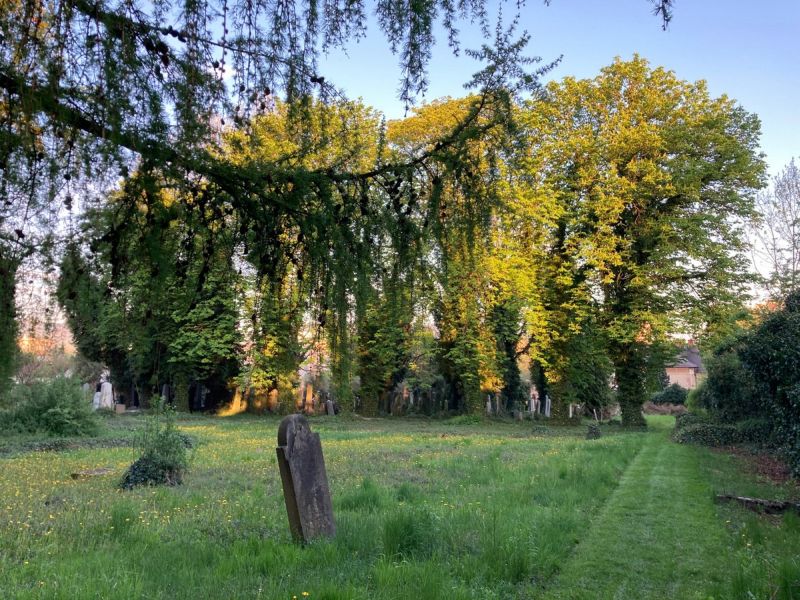 Cmentarz żydowski - Tajemniczy ogród
